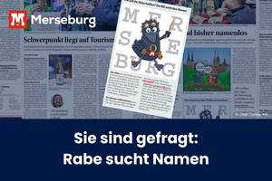 der MZ Artikel vom 14.01.2025 über die neue Rabenfigur, die die Stadt für Kinder repräsentieren soll