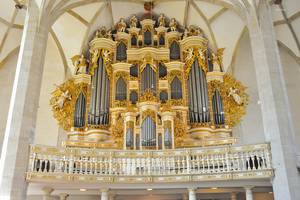 Ladegastorgel im Merseburg Dom