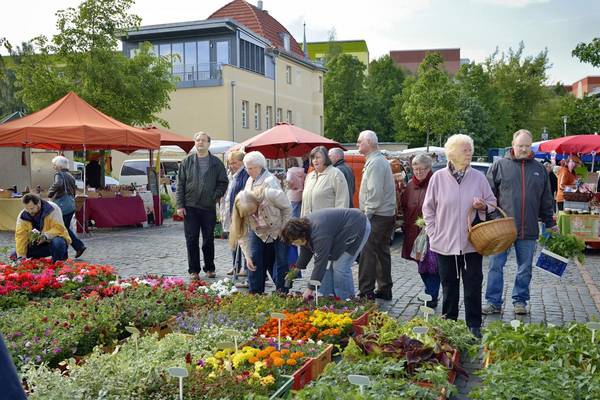 24. Blumen- und Bauernmarkt am 7. Mai auf dem Merseburger Marktplatz blumen und bauernmarkt